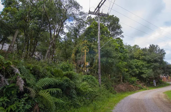 TERRENO PARA VENDA NO SERRANO