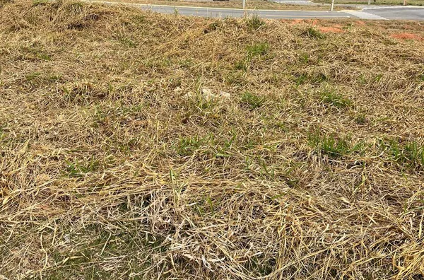 Lote em condomínio para venda Bragança - Innovare BRAGANCA PAULISTA