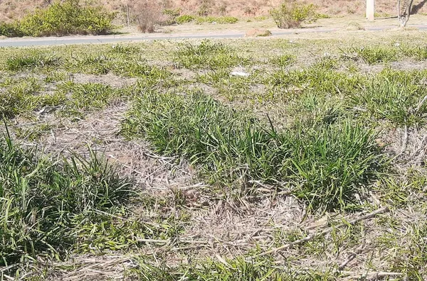 Lote comercial para venda Bragança - Jardim Bonança BRAGANCA PAULISTA