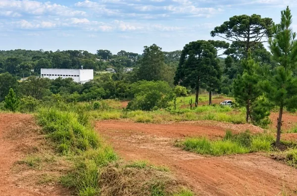 O melhor terreno na área industrial está a venda! 84.700m² com localização privilegiada
