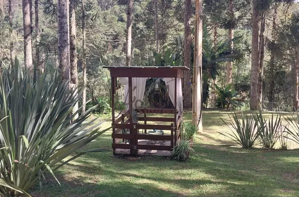 Chácara para venda, Mandassaia, Campina Grande Do Sul - Foto 19