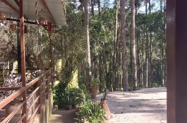 Chácara para venda, Mandassaia, Campina Grande Do Sul - Foto 7