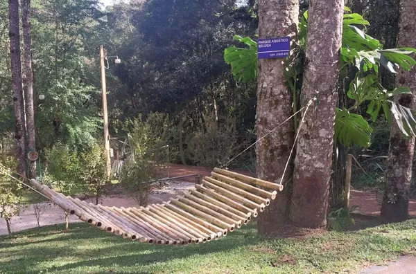 Chácara para venda, Mandassaia, Campina Grande Do Sul - Foto 18
