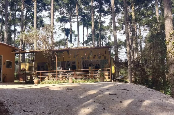 Chácara para venda, Mandassaia, Campina Grande Do Sul - Foto 6