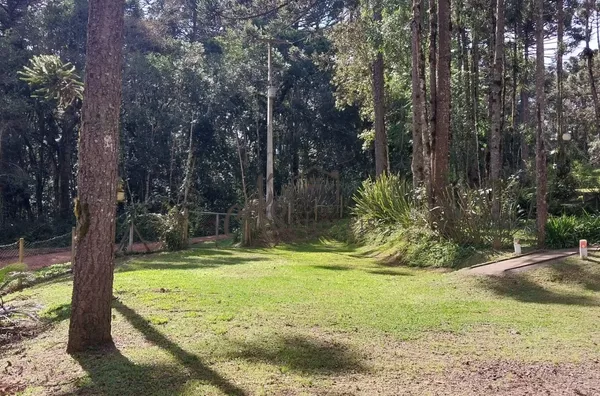Chácara para venda, Mandassaia, Campina Grande Do Sul - Foto 20