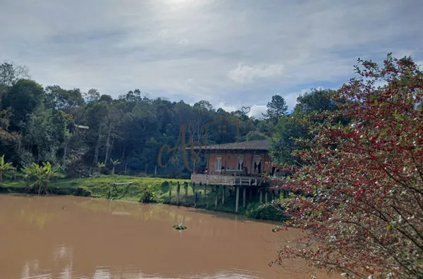 Chácara para venda e aluguel em Campina Grande do Sul