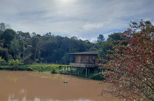 Chácara para venda e aluguel em Campina Grande do Sul