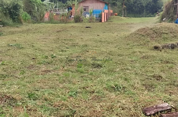 Terreno Venda Tapera  São Francisco Do Sul - SC - Foto 1