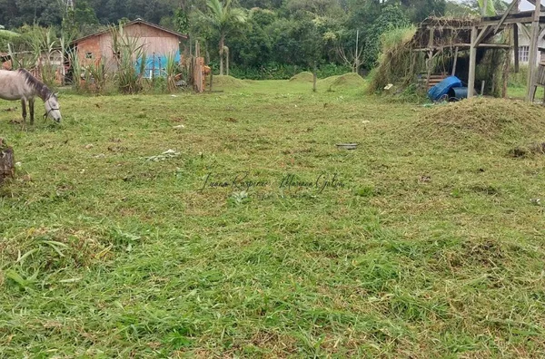 Terreno Venda Tapera  São Francisco Do Sul - SC - Foto 3