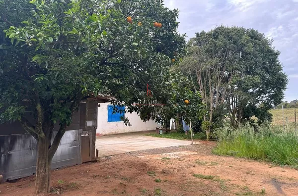 Chácara para venda Santa Helena CRUZ ALTA - Foto 6