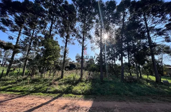 Chácara para venda Santa Helena CRUZ ALTA - Foto 25