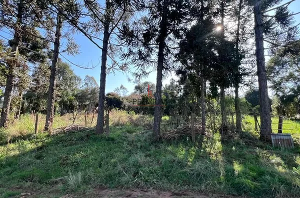 Chácara para venda Santa Helena CRUZ ALTA - Foto 23