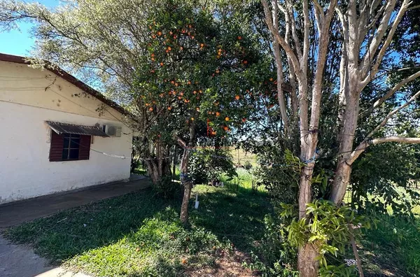 Chácara para venda Santa Helena CRUZ ALTA - Foto 30
