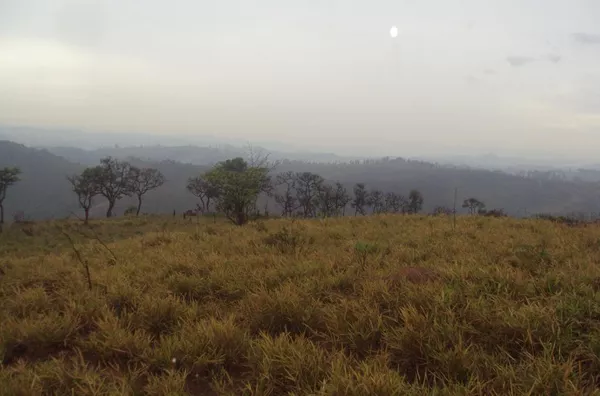 Área para loteamento na Fazenda Barrocão em Campo Limpo Paulista S.P. - Foto 7