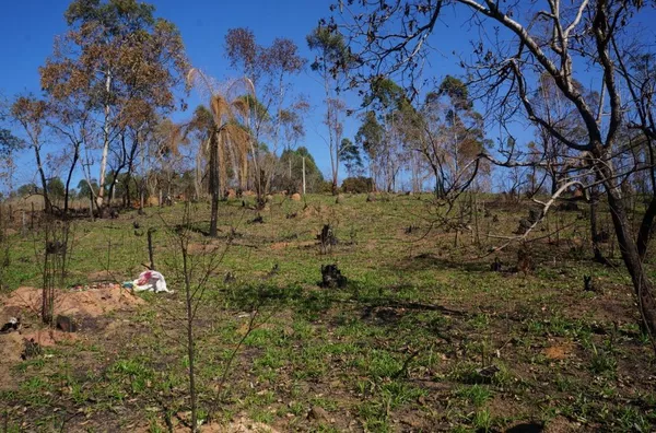 Terreno com 96.000 m² no Residencial Fazenda Marajoara, Campo Limpo Paulista/SP - Foto 6