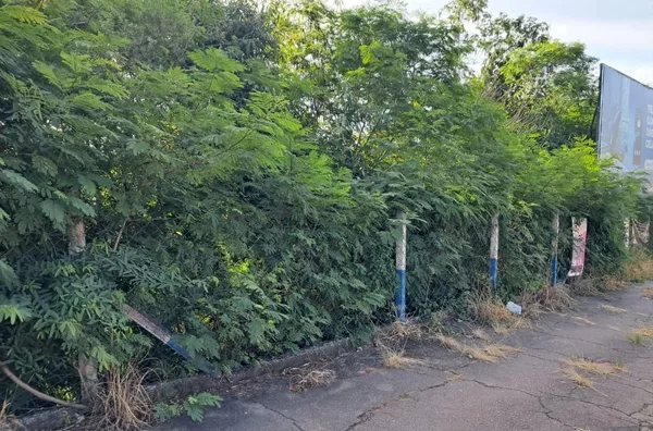 Terreno à venda, 250 m² por R$ 350.000 - Jardim América - Campo Limpo Paulista/SP - Foto 6