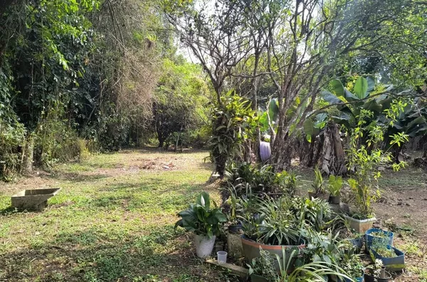 Chácara com duas casas à venda, 2054 m² por R$ 350.000 - Parque Niágara - Campo Limpo Paulista/SP - Foto 14
