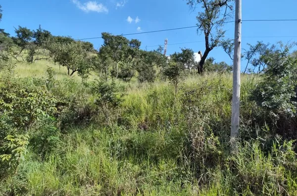 Terreno à venda por R$ 200.000 - 5.000 m2 em aclive suave - Colinas do Pontal (Botujuru) - Foto 3