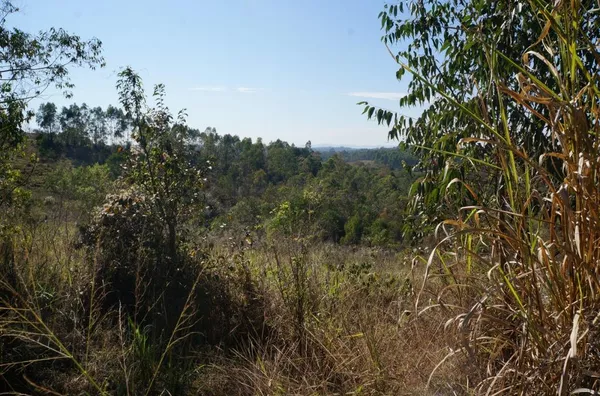 Terreno com 96.000 m² no Residencial Fazenda Marajoara, Campo Limpo Paulista/SP - Foto 7