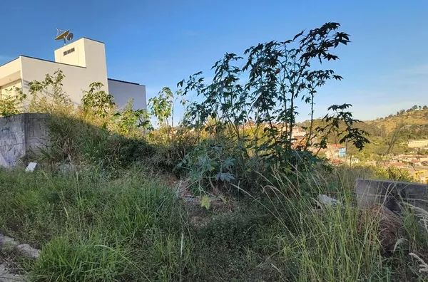 Terreno à venda, 250 m² por R$ 175.000,00 - Vila Olímpia - Campo Limpo Paulista/SP