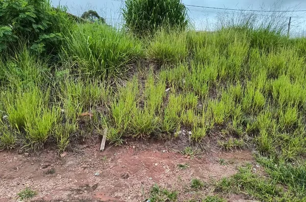 Terreno à venda, 257 m² por R$ 148.000 - Portal do Campo - Campo Limpo Paulista/SP - Foto 4