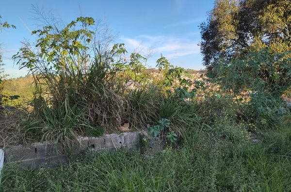 Terreno à venda, 250 m² por R$ 175.000,00 - Vila Olímpia - Campo Limpo Paulista/SP