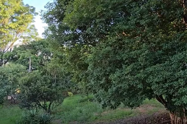 Chácara com 3 dormitórios à venda, 2400 m² por R$ 1.050.000,00 - Videiras Jarinu - Jarinu/SP - Foto 13
