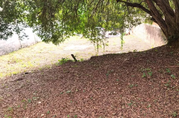 Excelente Terreno à venda, 394 m² por R$ 800.000 - Vila Thomazina - Campo Limpo Paulista/SP - Foto 3