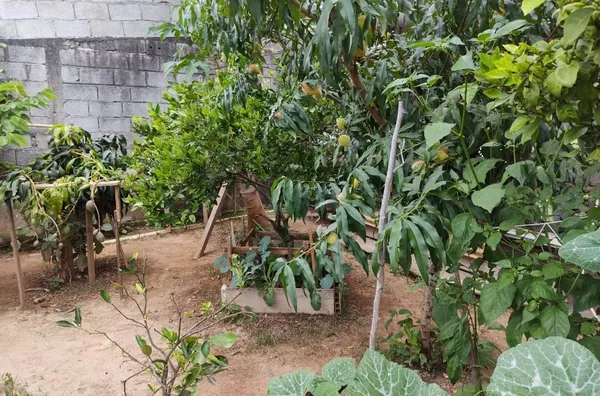 Casa com 2 dormitórios à venda, 260 m² por R$ 550.000,00 - Jardim Vera Regina - Campo Limpo Paulista/SP - Foto 28