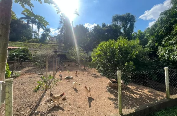 Chácara com 2 dormitórios sendo 1 suíte e segunda casa em fase de acabamento à venda, 5000 m² por R$ 960.000 - Pau Arcado - Campo Limpo Paulista/SP - Foto 32