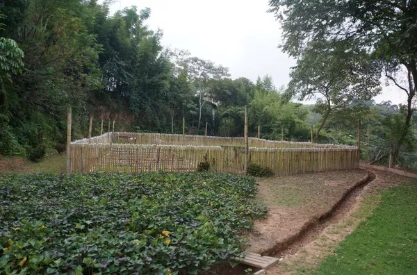 Chácara com 3 dormitórios à venda, 24000 m² por R$ 650.000,00 - Pau Arcado - Campo Limpo Paulista/SP - Foto 21