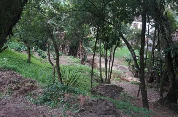 Chácara com 3 dormitórios à venda, 24000 m² por R$ 650.000,00 - Pau Arcado - Campo Limpo Paulista/SP - Foto 19
