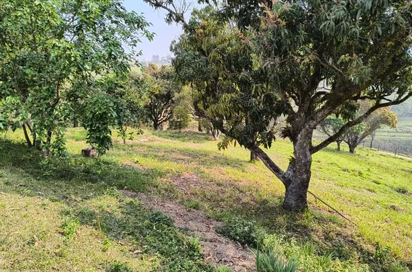 Chácara com 3 dormitórios à venda, 5029 m² por R$ 430.000,00 - Outeiro das Paineiras (Botujuru) - Campo Limpo Paulista/SP - Foto 7