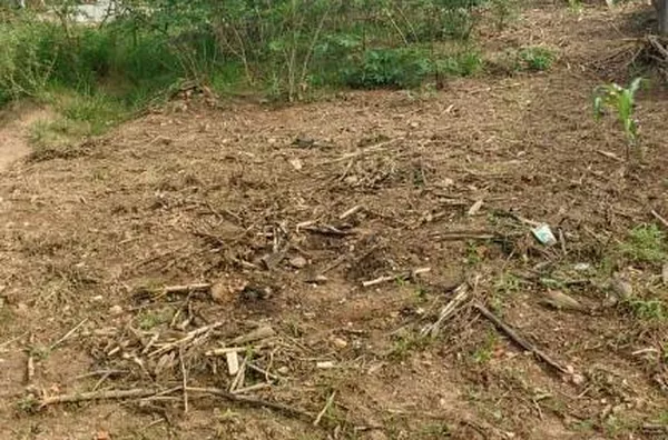 Terreno no bairro Vila Chacrinha (Botujuru), com 600 m² em aclive.Estuda proposta.