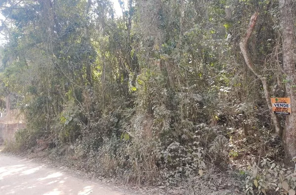 Terreno à venda, 6000 m² por R$ 160.000,00 - Jardim Santa Maria - Campo Limpo Paulista/SP - Foto 1