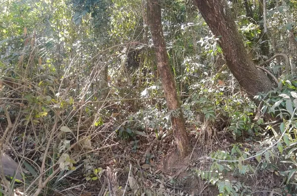 Terreno à venda, 6000 m² por R$ 160.000,00 - Jardim Santa Maria - Campo Limpo Paulista/SP - Foto 4