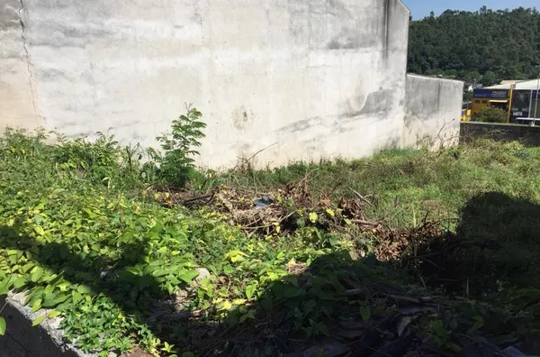 Terreno com 300 m² - Jardim Guanciale - Campo Limpo Paulista/SP - Foto 3