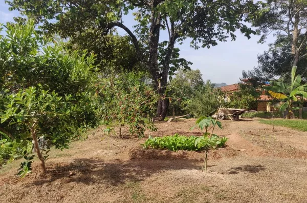 Chácara com piscina, 2 dormitórios à venda, 1006 m² por R$ 615.000 - Videiras Jarinu - Jarinu/SP - Foto 24