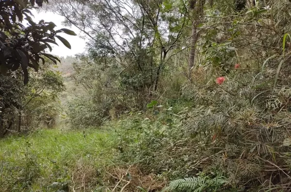 Chácara com 1 dormitório à venda, 10.000 m² por R$ 270.000 - Botujuru (Botujuru) - Campo Limpo Paulista/SP - Foto 9