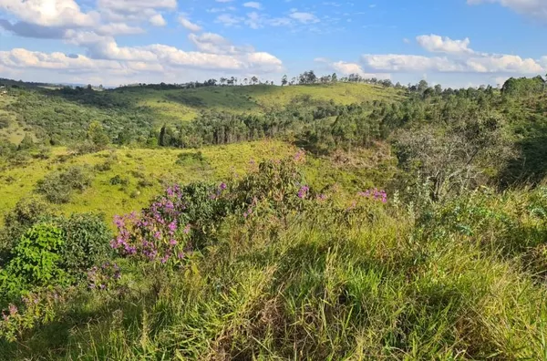 Terreno à venda, 23.226 m² no bairro Chácara das Flores por R$ 460.000