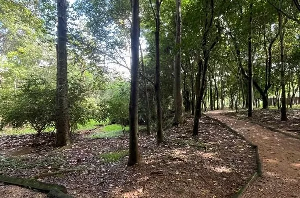 Terreno à venda, 1000 m² por R$ 630.000,00 - Parque dos Resedás - Itupeva/SP - Foto 13