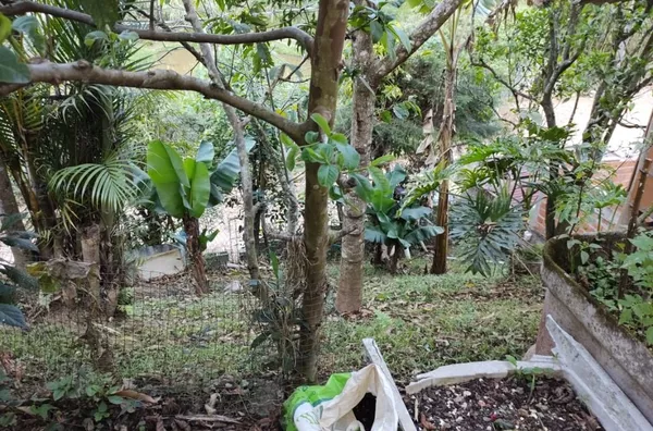 Chácara com 2 casas, pomar, poço, jardim e bosque, 7119 m² por R$ 400.000 - Chácaras Campo Limpo - Campo Limpo Paulista/SP - Foto 21