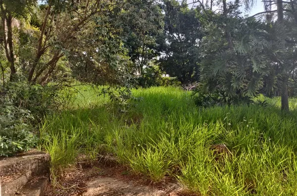 Terreno à venda, 2000 m² por R$ 300.000,00 - Parque Niágara - Campo Limpo Paulista/SP - Foto 3