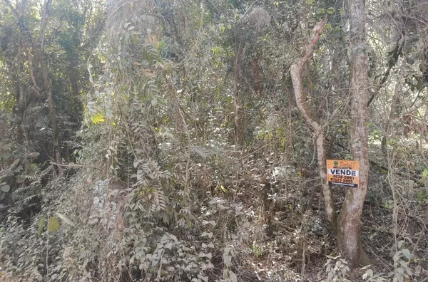 Terreno à venda, 6000 m² por R$ 160.000,00 - Jardim Santa Maria - Campo Limpo Paulista/SP - Foto 2