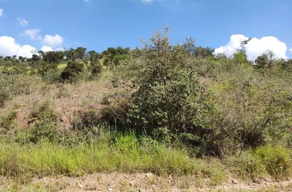 Terreno à venda por R$ 200.000 - 5.000 m2 em aclive suave - Colinas do Pontal (Botujuru) - Foto 8