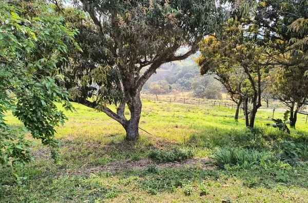 Chácara com 3 dormitórios à venda, 5029 m² por R$ 430.000,00 - Outeiro das Paineiras (Botujuru) - Campo Limpo Paulista/SP - Foto 8
