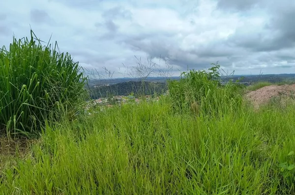 Terreno à venda, 257 m² por R$ 148.000 - Portal do Campo - Campo Limpo Paulista/SP - Foto 1