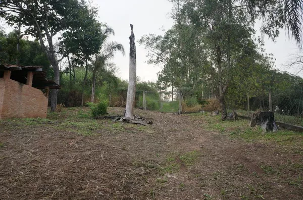 Chácara com 3 dormitórios à venda, 24000 m² por R$ 650.000,00 - Pau Arcado - Campo Limpo Paulista/SP - Foto 10