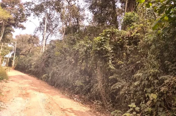 Terreno à venda, 2000 m² por R$ 300.000 - Parque Niágara - Campo Limpo Paulista/SP