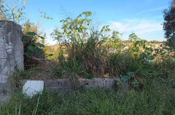 Terreno à venda, 250 m² por R$ 175.000,00 - Vila Olímpia - Campo Limpo Paulista/SP